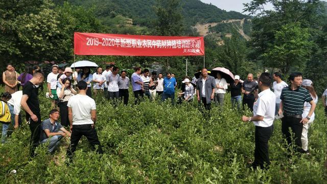 紫阳县高桥镇开展新型职业农民中药材种植培训
